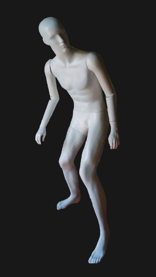 남자 보드 마네킹