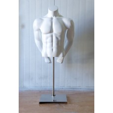 남자 머슬 상반신