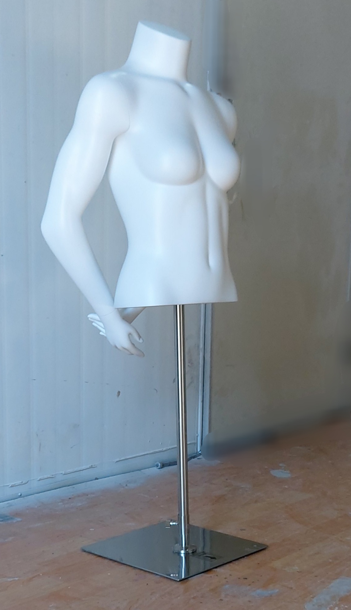 여자 머슬 상반신