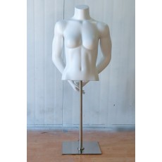 여자 머슬 상반신