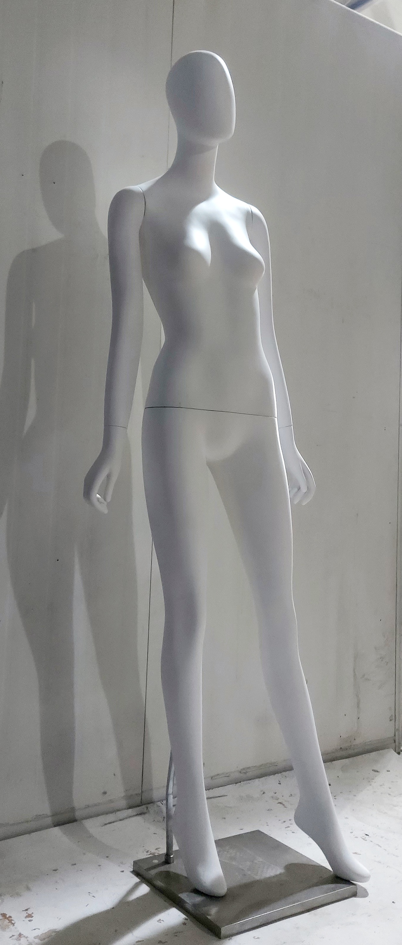 CF-샤본