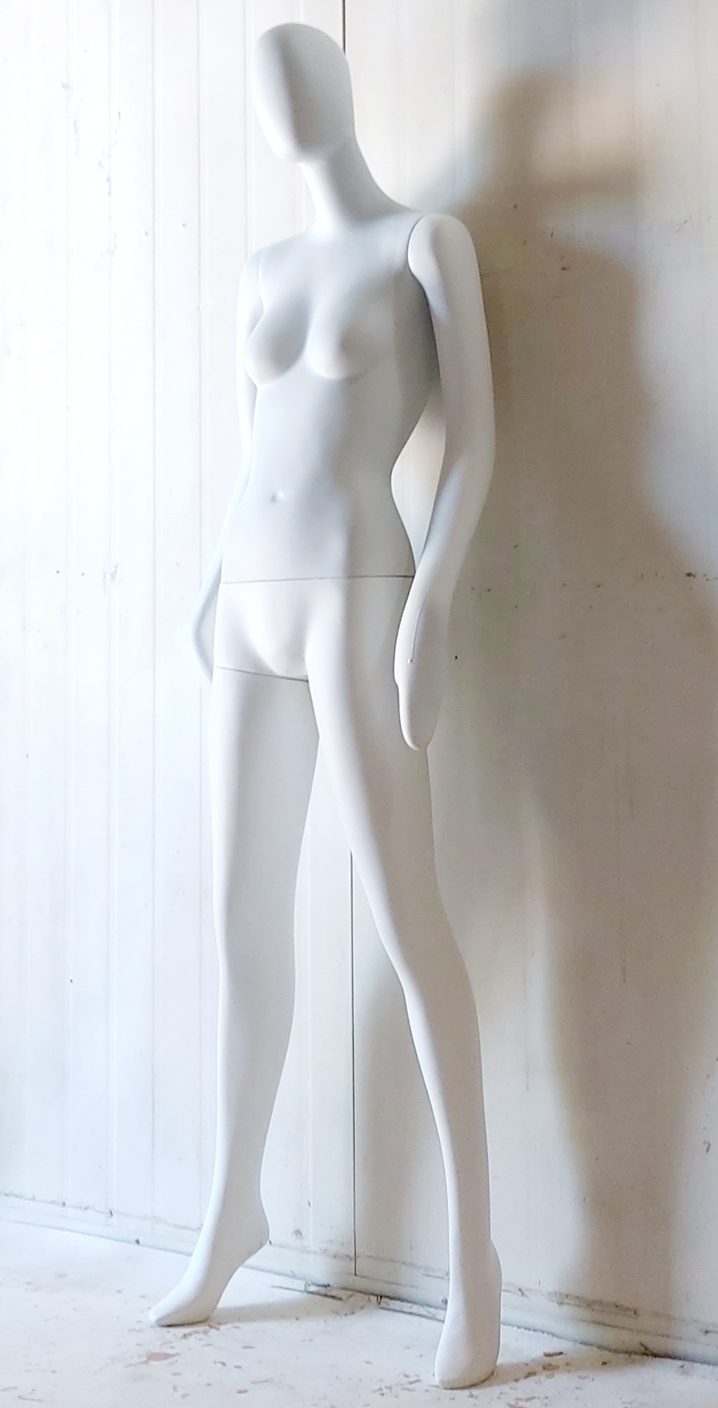 CF- 카라