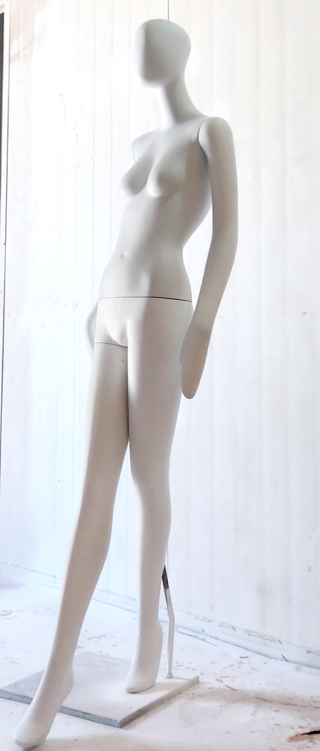 CF-카라2
