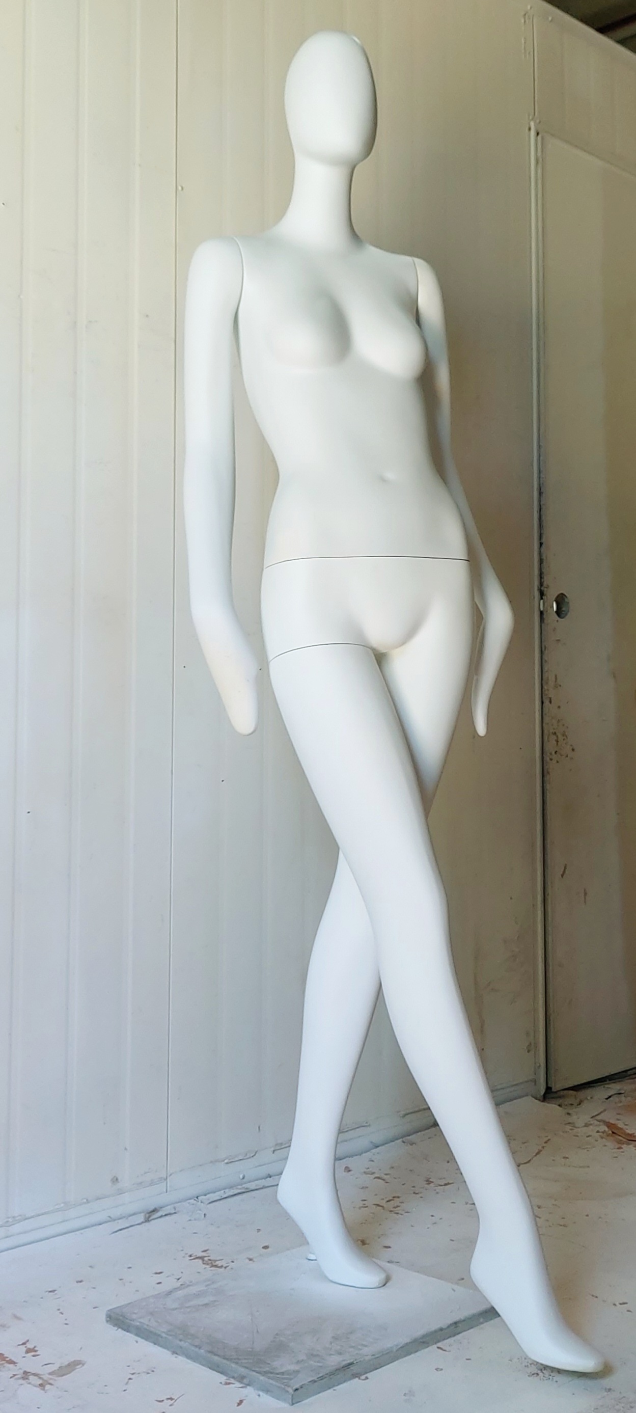 CF-카라2