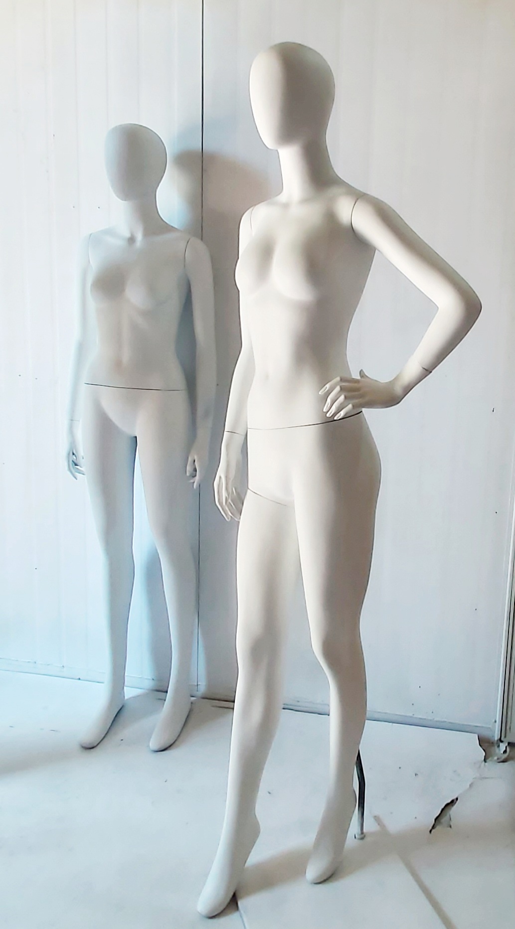 CF- 세트 할인