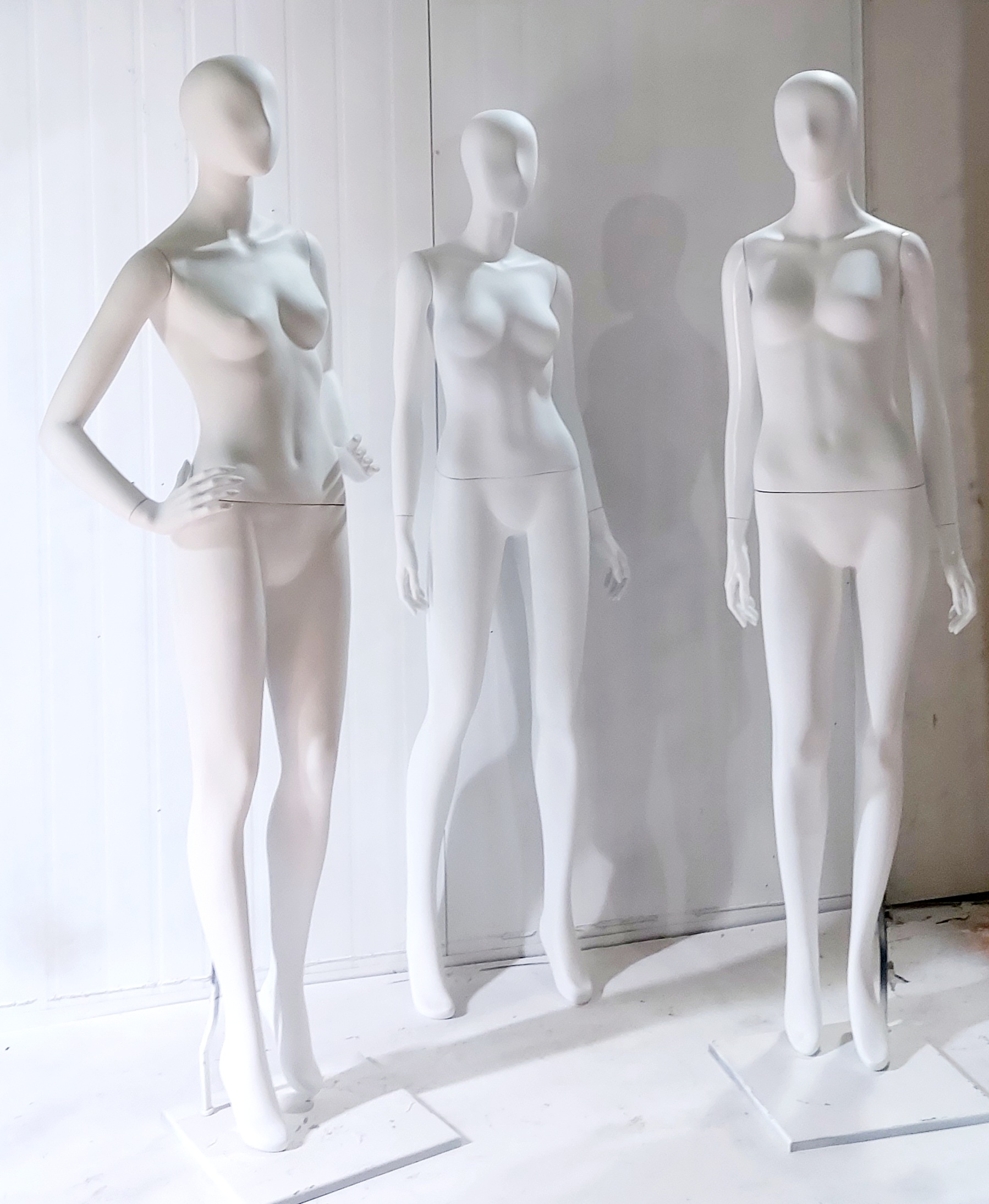 쟈스민 세트 할인가